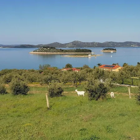 Punta Appartement